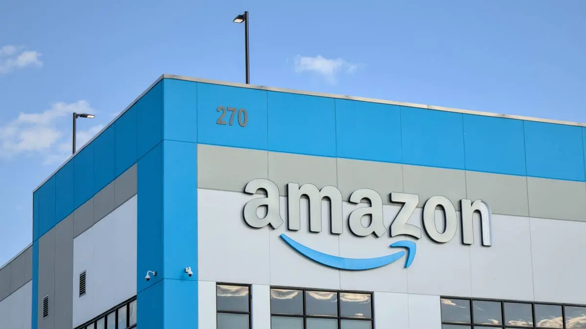 Hrănitorul de iarnă Amazon: Cum protejează păsările de frig și șobolani