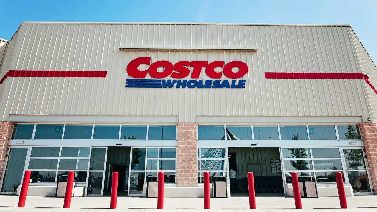 Jucăria de câine Jimothy Raccoon de la Costco: o supriză care scârțâie