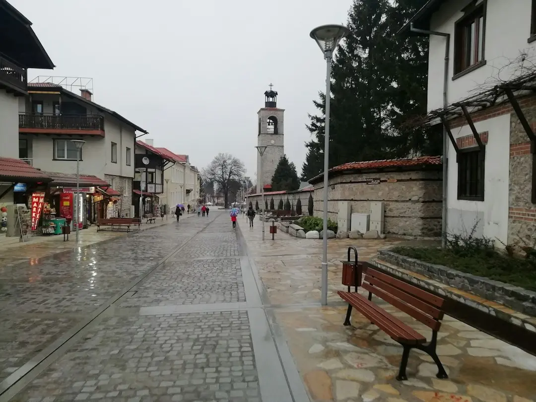 Prea multe gustări: cum să-ți ții câinele sănătos
