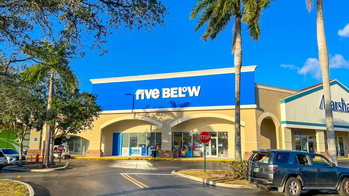 Geantă de transport pentru animale: soluția ieftină de la Five Below pentru vacanțe