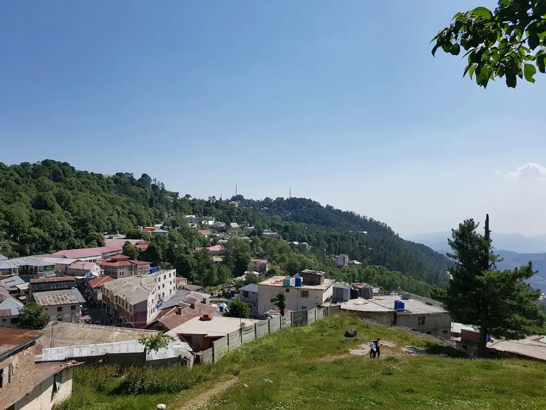 A crescut toți puiul și și-a găsit familii pentru ei, dar ea a rămas singură în adăpost!