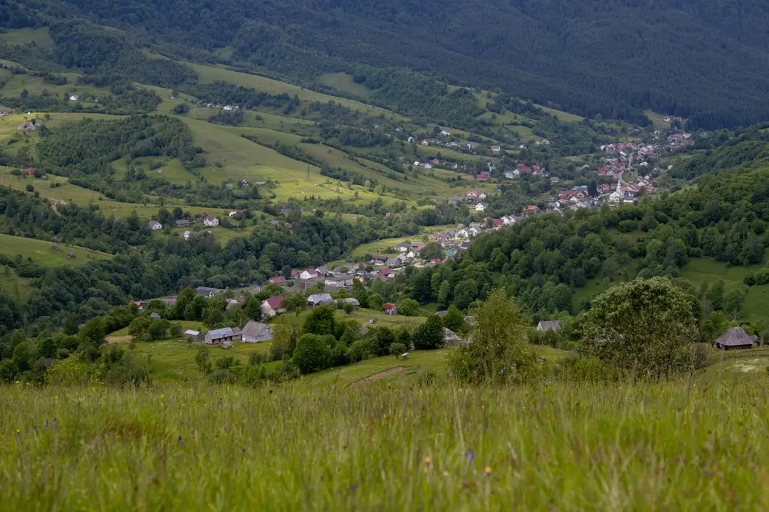 Cum păstrezi interesul pisicului în jucării fără să cheltui excesiv
