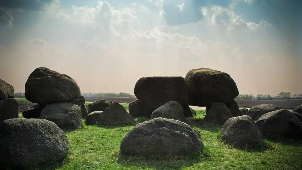 Mallow, câinele care s-a pierdut în parc, a găsit drumul înapoi la stăpân