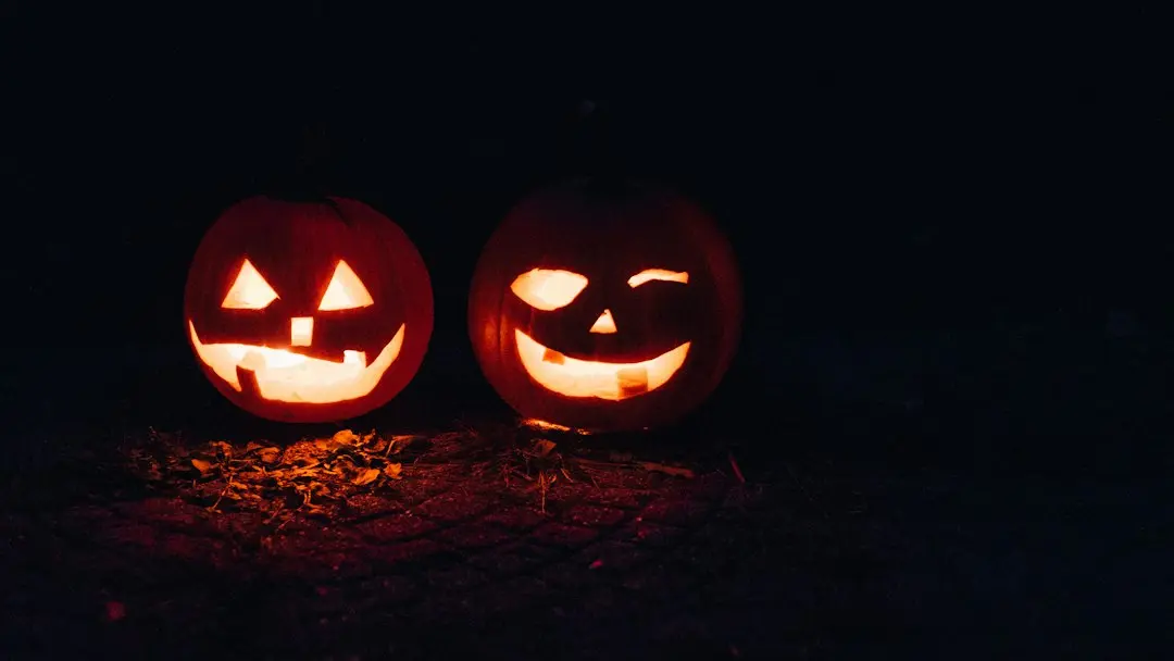 Calendarul de Halloween pentru pisici: 13 zile de surprize înfricoșător de simpatice!