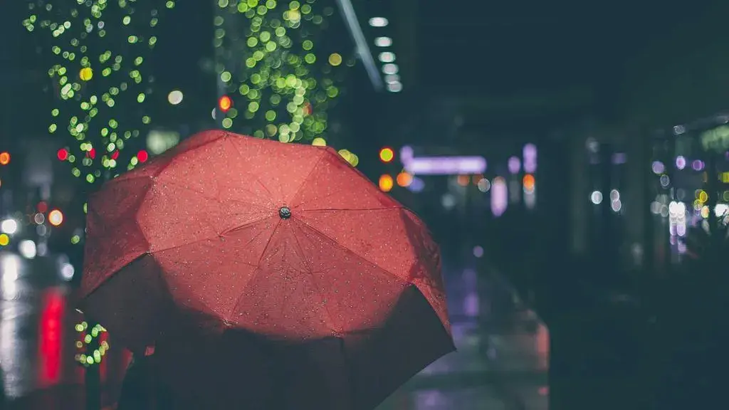 Pui de Staffordshire la controlul dinților: o expresie care a stârnit valuri pe Instagram