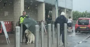 Paznicul care a adăpostit un câine în ploaie devine erou viral