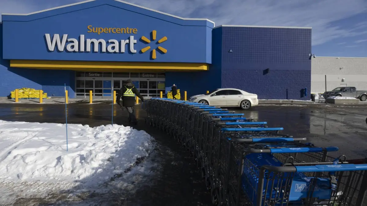 Walmart lansează hanoracul cu buzunar pentru animale: vedeta sărbătorilor!
