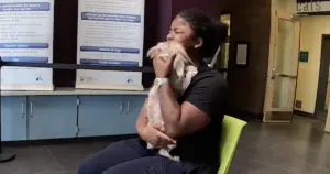 Yorkie găsit după 7 luni de căutare